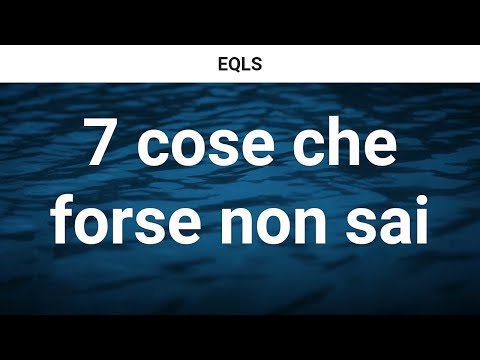 7 cose che forse non sai