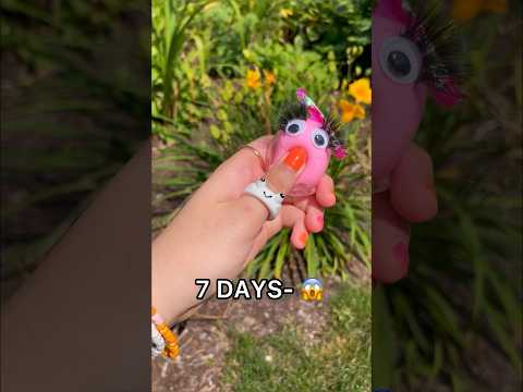RESULTS - LEAVING MY NANO TAPE SQUISHY AT THE BEACH FOR 7 DAYS! 😱🏖️🌊 *rip diy nano tape balloon*