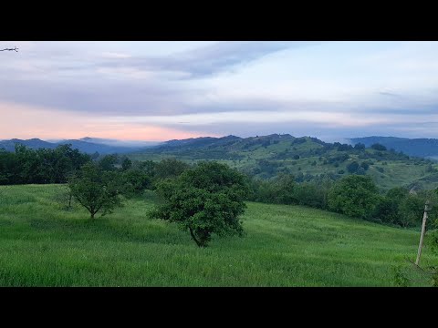 Sărulești - Munții noștrii aur poartă / Fără Țară