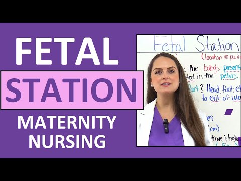 Fetal Station Assessment and Engagement Nursing NCLEX Maternity Review
