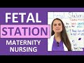 Fetal Station Assessment and Engagement Nursing NCLEX Maternity Review