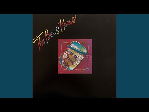 Somewhere In The Middle Of The Milky Way - The Bee's Knees