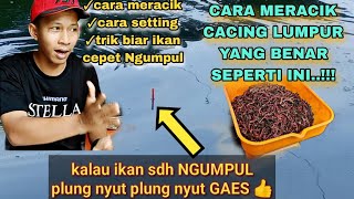 Download lagu CARA MERACIK CACING LUMPUR TERBARU...!!! CARA SETTING SETELAN KAIL PELAMPUNG || ASLI GACOR BANGET.!! mp3