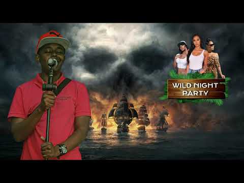 Wild Night Party Anthem - Playbwoy