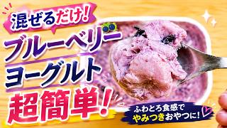 【混ぜるだけ】超簡単ブルーベリーヨーグルトスイーツ｜濃厚クリーミーで絶品！