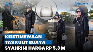 Dilapisi 105 Berlian Mewah, Intip Keistimewaan Tas Hermes Kulit Buaya Syahrini, Harga Rp 5,3 Miliar
