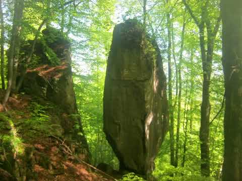 SELTERKLIPPEN ( Keule bis Viertannenturm/Erzhausener Klippen (Kammersteine))