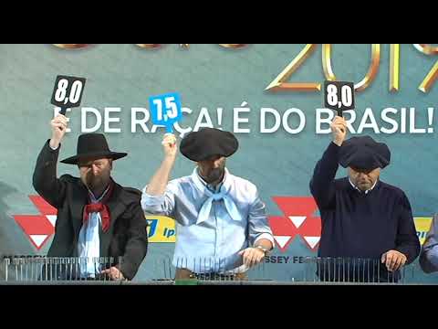 Classificatória de Araranguá - 4º lugar fêmeas - Malla Oro da Reconquista (Mangueira II)