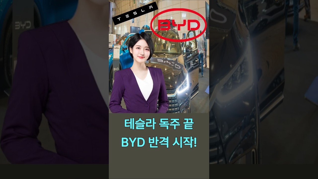 BYD 점유율 폭발…테슬라 긴장해야 한다