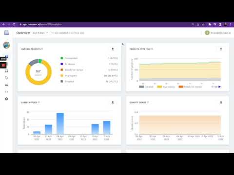 Brief Overview of Datasaur