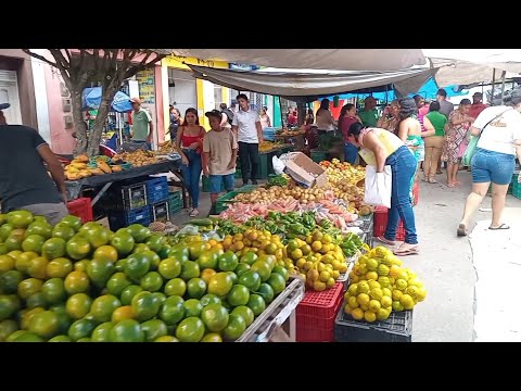 A TRADICIONAL FEIRA LIVRE DE RUA EM PANELAS_PE 14_02_2026