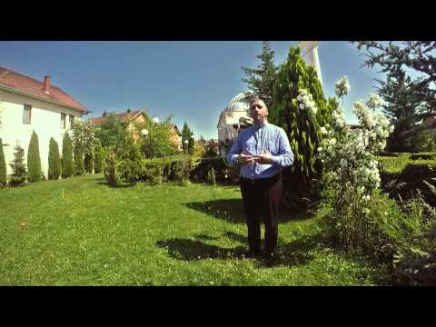 3.Ramazani muaji i përmirësimit - Namazi i natës┇Hoxhë Enis Rama┇