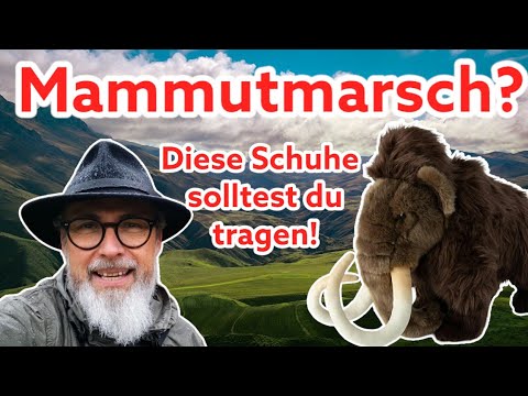 Going on a mammoth hike? Great, but make sure you choose the right shoes! Here are my picks!