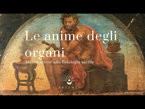 Le anime degli organi [Stefano Riccesi].