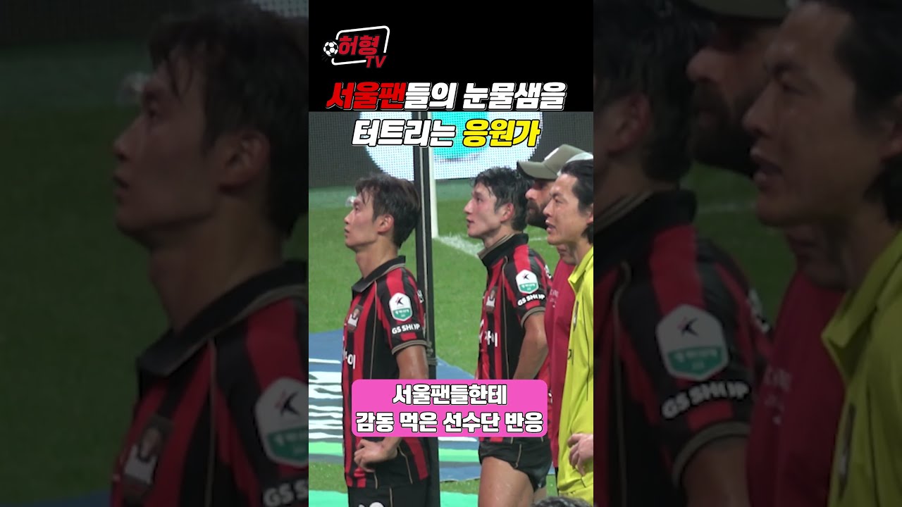 서울팬들의 눈물샘을 터뜨리는 응원가  #k리그  #축구 #fc서울 #응원가