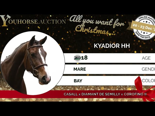 Kyadior showvideo