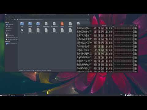 ArcoLinux : 2984 Updating ArcoLinux 22.07 to 22.09 - keep rolling video