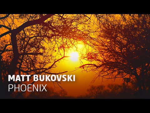Matt Bukovski - Phoenix (Original Mix)