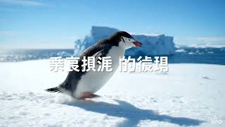 Download lagu 可以幫我製作第二集嗎？ mp3