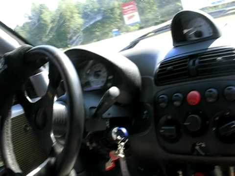 bajorek z kudłatym na kieleckim asfalcie