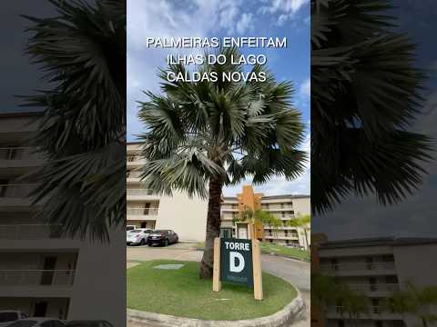 Torre D Palmeira ilhas do lago eco resort Caldas novas Goiás.