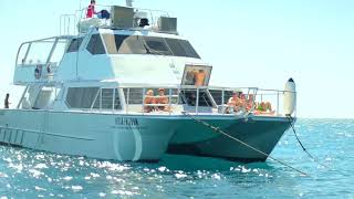 Ocean Freedom Cairns