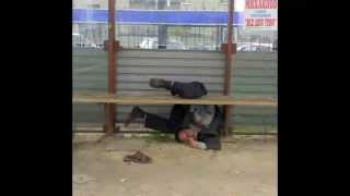 Don Henley You_re Not Drinking Enough