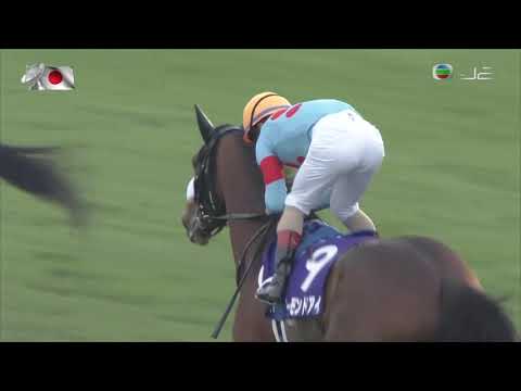 Tenno Sho Autumn (Grade 1) - 2000M Turf  Almond Eye 8th Group 1 Win