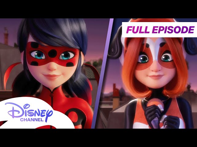 Miraculous: Tales of Ladybug and Cat Noir Full Episode | Daddycop | @disneychannelanimation