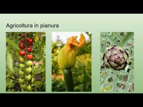 La pianura spiegata ai bambini della Primaria