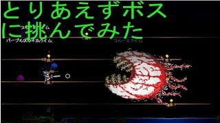 くるぶしが行くテラリア実況part 3 クトゥルフの目玉に挑戦？