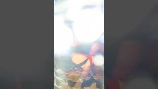 TikTok viral 52 #tiktok#bikini #bikinibodies