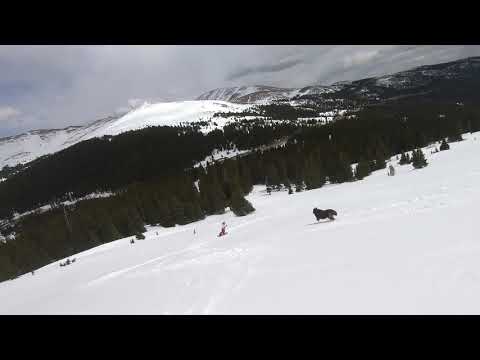 Training Hill with Drisana and Goosebump