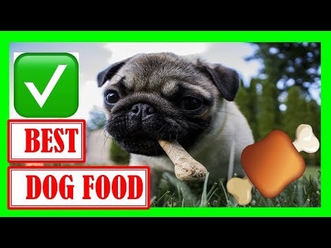✅ What FOODS are GOOD for DOGS 🍖🍗 Homemade Dog Food - ( Natural Balance Dog Food )