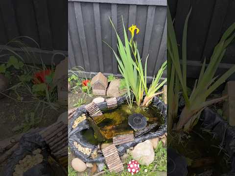 The pond flower had opened xxx