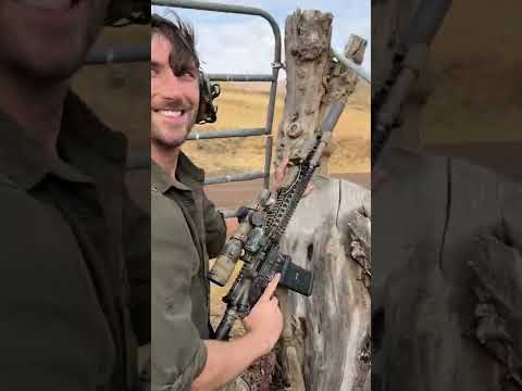 Norma Golden Target 143gr MATCH 6.5 Creedmoor Bergara HMR Accuracy test