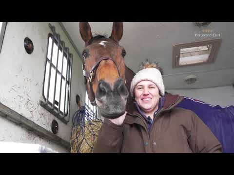 Master Minded: Back at Cheltenham