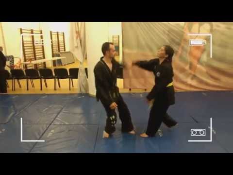 YangHumKwan hapkido  Treino