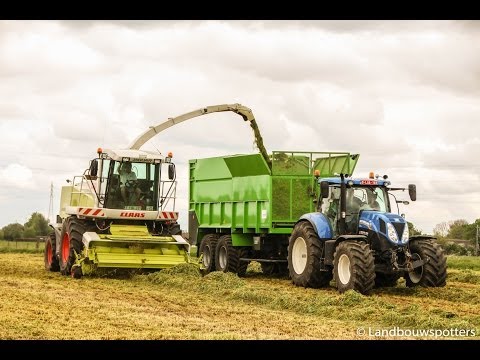 Claas Jaguar 900 gras hakselen 2014 - Destoop uit Waregem
