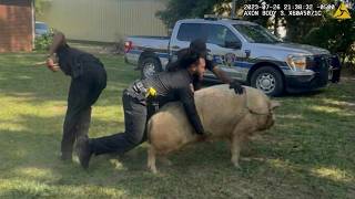 Funniest Police vs Animals Moments of All Time..