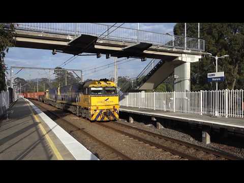 NR25 (Indian Pacific) and NR81 with PN 1SB1 - 3/9/17