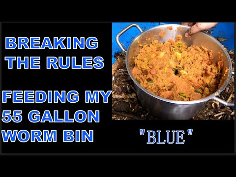 55 GALLON WORM BIN WEDGE METHOD