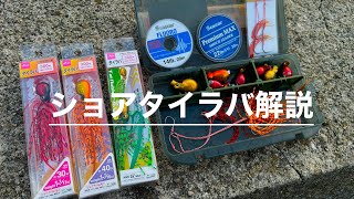 ダイソータイラバで始める！ショアタイラバ入門【使い方】