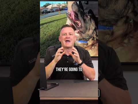 The WORST Guardian Breeds for Families