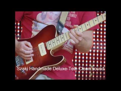 shg (Szaki Handmade Guitar) Custom Made Guitar Clean sound