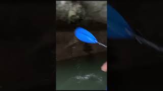 Trang An Ninh Binh, Vietnam 🇻🇳 #shorts #vietnam #halongbay #tranganninhbinh #viral #trending