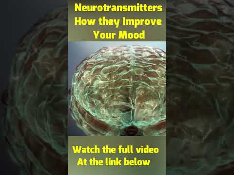 Unlocking Happiness: How Your Diet Shapes Neurotransmitters for Mood Enhancement