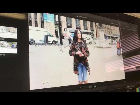 Still have a serious fear of pigeons