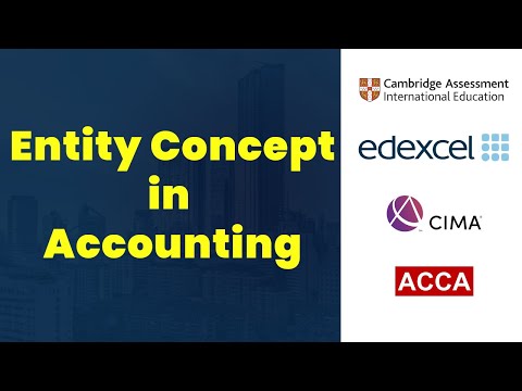 Entity Concept in Accounting | Just in 1.5 min