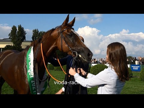 Gon. V (N. St. Leger) - 29.08.2021 - Memphis (Jukebox Jury - Margarita)